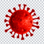 Corona Virus Transparent PNG