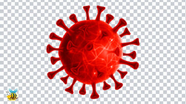 Corona Virus Transparent PNG