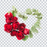 Heart Shape Made with Roses Flower Twig Transparent PNG