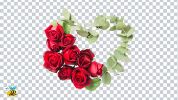 Heart Shape Made with Roses Flower Twig Transparent PNG
