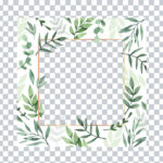 Tropical Leaf Frame Vector