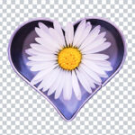 Transparent Daisy flower in heart png