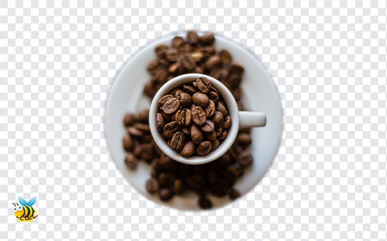 Coffee Beans Cup PNG