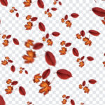 Falling Leaves PNG
