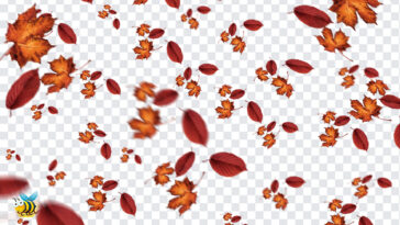 Falling Leaves PNG