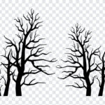 Spooky Trees PNG