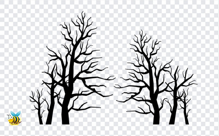 Spooky Trees PNG