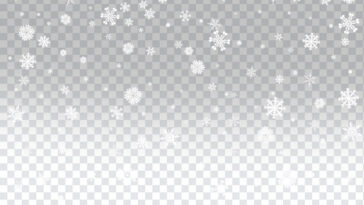 Snow Falling PNG, Snow Falling, Snow, Snow Flakes, Christmas, Snow Background, FREE PNG,
