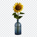 Sunflower In A Vase PNG, Sunflower Vase PNG, Sunflower, Sunflower PNG, Sunflower In A Vase, flowers, flowers png,