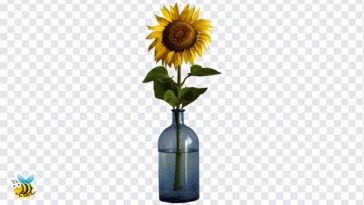 Sunflower In A Vase PNG, Sunflower Vase PNG, Sunflower, Sunflower PNG, Sunflower In A Vase, flowers, flowers png,