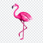 Watercolor Flamingo PNG, Watercolor Flamingo, Flamingo PNG, Flamingo, PNG Images,