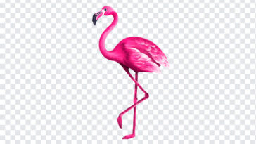 Watercolor Flamingo PNG, Watercolor Flamingo, Flamingo PNG, Flamingo, PNG Images,