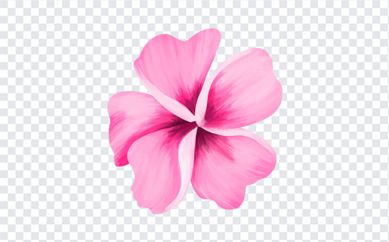 Watercolor Flower PNG