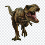 Jurassic world dominion TRex PNG, Jurassic world dominion Trex, Jurassic world dominion, Jurassic world, Dinosaur, Dinosaur PNG,