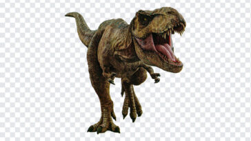 Jurassic world dominion TRex PNG, Jurassic world dominion Trex, Jurassic world dominion, Jurassic world, Dinosaur, Dinosaur PNG,