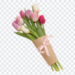 Tulips Bouquet PNG, Tulips Bouquet, Tulips, Flower Bouquet, Flower, Flowers,