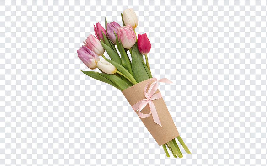 #Flower #FlowerBouquet #Flowers #Tulips #TulipsBouquet #TulipsBouquetPNG