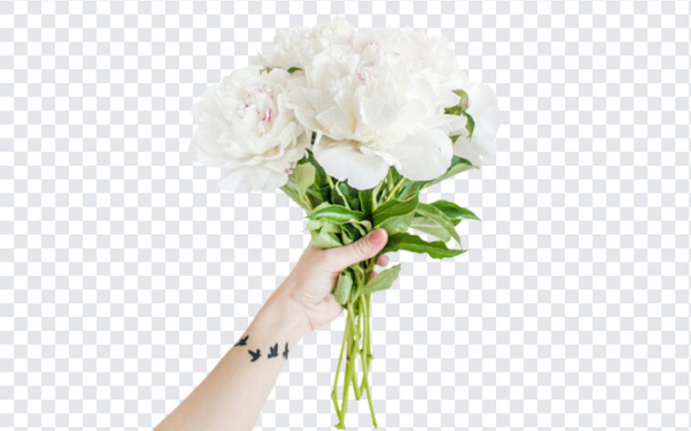 Flowers in Hand PNG,Flowers in Hand,Hand PNG,Flowers,White Flowers,
