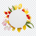 Round Flower Petal Frame, Round Flower Petal, Round Flower Petal Frame PNG, Round Flower, PNG Images, Transparent Files, png free, png file,