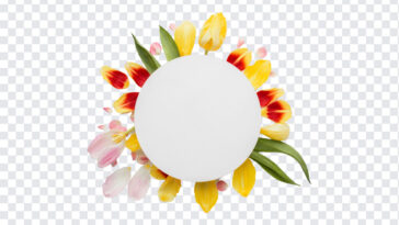 Round Flower Petal Frame, Round Flower Petal, Round Flower Petal Frame PNG, Round Flower, PNG Images, Transparent Files, png free, png file,
