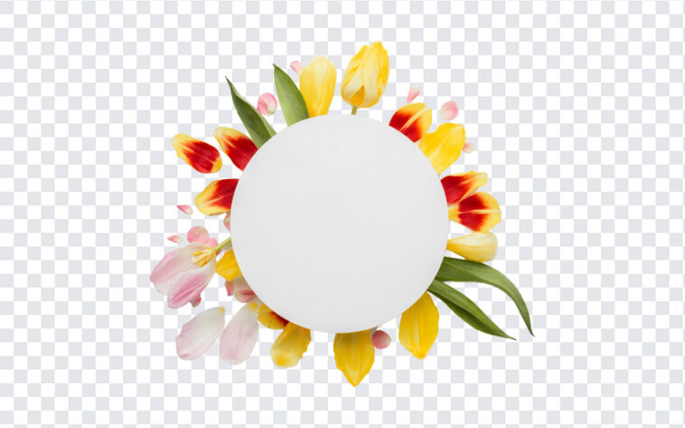 Round Flower Petal Frame, Round Flower Petal, Round Flower Petal Frame PNG, Round Flower, PNG Images, Transparent Files, png free, png file,