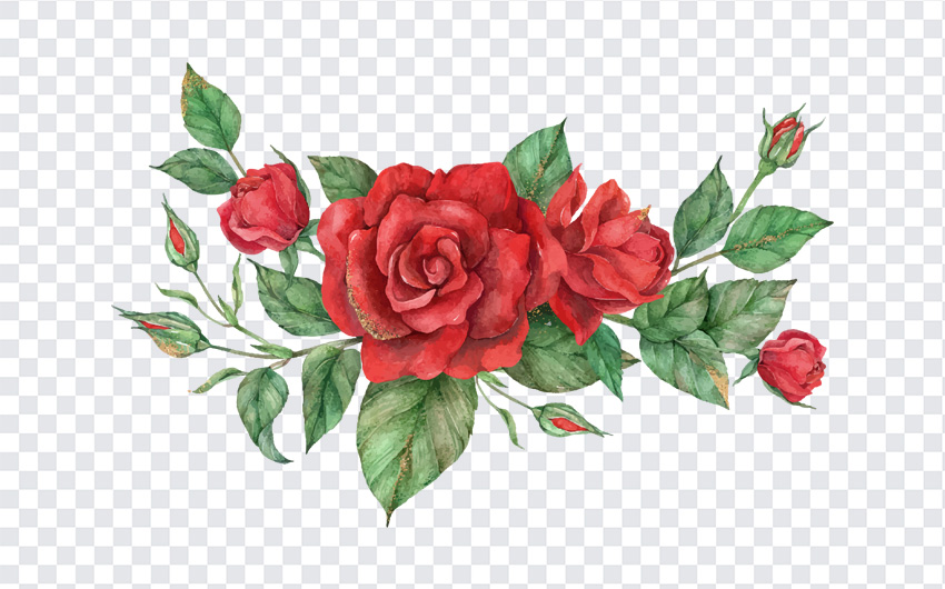 Watercolors Roses, Watercolors, Watercolors Roses PNG, Wateercolor Cliparts, Cliparts, Freebies, PNG Images, Transparent Files, png free, png file,