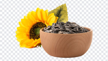 sunflower seeds wooden bowl, sunflower seeds wooden, sunflower seeds wooden bowl transparent, sunflower seeds, PNG Images, Sunflower, Transparent Files, png free, png file,