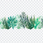 watercolor corals, watercolor, watercolor corals PNG, Corals PNG, Corals, PNG Images, Transparent Files, png free, png file,
