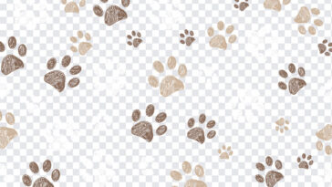 Dog Paws, Dog, Dog Paws PNG, Paws, Paw PNG, PNG, PNG Images, Transparent Files, png free, png file,