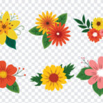 Flower Vector Clip, Flower Vector, Flower Vector Clip art, Flower, PNG Images, Transparent Files, png free, png file,