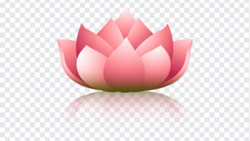 Lotus Vector, Lotus, Lotus Vector PNG, Lotus Flower, Flower PNG, Lotus PNG, PNG Images, Transparent Files, png free, png file,