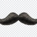 Moustache PNG, Moustache, Moustache Clip Art, Clip Art, PNG Images, Transparent Files, png free, png file,