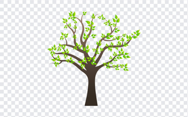 Tree PNG | Download FREE - Freebiehive