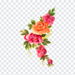 Watercolor Floral, Watercolor, Watercolor Floral Clipart, PNG Images, Transparent Files, png free, png file,