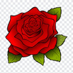 Rose Flower Clipart, Rose Flower, Rose Flower Clipart PNG, Rose, Clipart, Flower PNG, Flower Clipart PNG, PNG, PNG Images, Transparent Files, png free, png file,