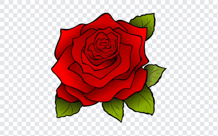 Rose Flower Clipart, Rose Flower, Rose Flower Clipart PNG, Rose, Clipart, Flower PNG, Flower Clipart PNG, PNG, PNG Images, Transparent Files, png free, png file,