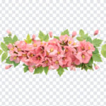 Transparent Floral, Transparent, Transparent Floral Garland, Floral, Floral PNG, PNG, PNG Images, Transparent Files, png free, png file,