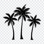 Palm Tree Clip Art, Palm Tree Clip, Palm Tree Clip Art , Palm Tree, Palm Tree PNG, PNG, PNG Images, Transparent Files, png free, png file,