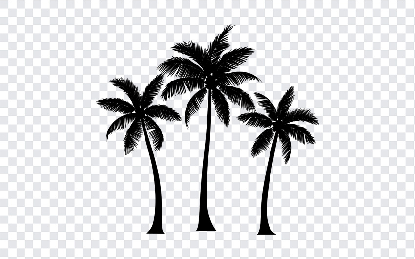 Palm Tree Clip Art  