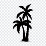 Silhouettes Palm Tree, Silhouettes Palm, Silhouettes Palm Tree PNG, Silhouettes, PNG, PNG Images, Transparent Files, png free, png file,