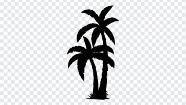Silhouettes Palm Tree, Silhouettes Palm, Silhouettes Palm Tree PNG, Silhouettes, PNG, PNG Images, Transparent Files, png free, png file,