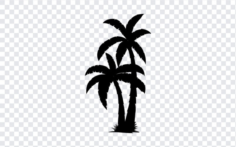 Silhouettes Palm Tree, Silhouettes Palm, Silhouettes Palm Tree PNG, Silhouettes, PNG, PNG Images, Transparent Files, png free, png file,