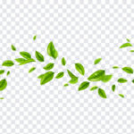 Blowing Leaves, Blowing, Blowing Leaves PNG, Leaves PNG, Green Leaves PNG, Green, PNG, PNG Images, Transparent Files, png free, png file,