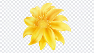 Flores Amarillas, Flores, Flores Amarillas PNG, Flower PNG, Yellow Flower PNG, Yellow Flower, Flowers PNG, PNG Images, Transparent Files, png free, png file, Free PNG, png download,