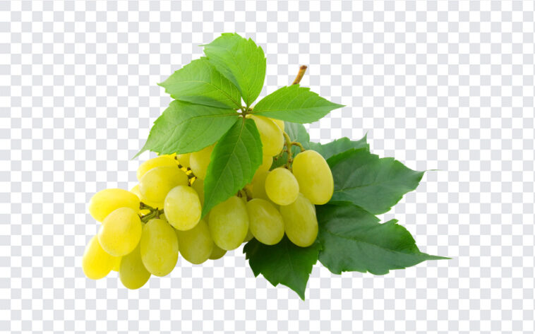 Grapes, Grapes PNG, PNG, PNG Images, Transparent Files, png free, png file,