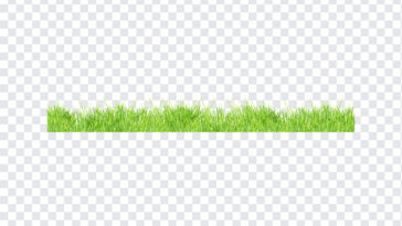 Grass Field, Grass, Grass Field PNG, Grass PNG, Transparent Grass, PNG, PNG Images, Transparent Files, png free, png file,