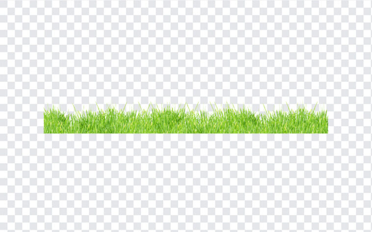 Grass Field, Grass, Grass Field PNG, Grass PNG, Transparent Grass, PNG, PNG Images, Transparent Files, png free, png file,