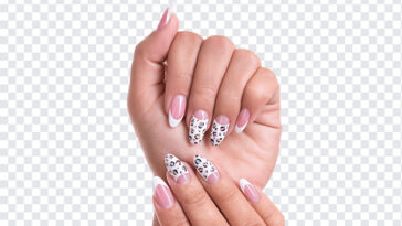 Nail Art, Nail, Nail Art PNG, PNG, PNG Images, Transparent Files, png free, png file, Free PNG, png download,