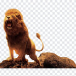 Roaring Lion, Roaring, Roaring Lion PNG, Lion PNG, Lion, PNG, PNG Images, Transparent Files, png free, png file,