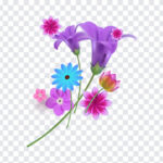Spring Flowers, Spring, Spring Flowers PNG, Flower PNG, Flowers PNG, Flowers, Flowers Clipart, PNG, PNG Images, Transparent Files, png free, png file,